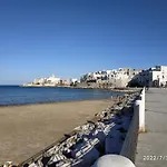 Scialara *