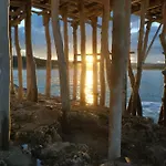 Scialara