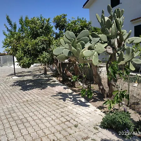 Scialara Apartment *