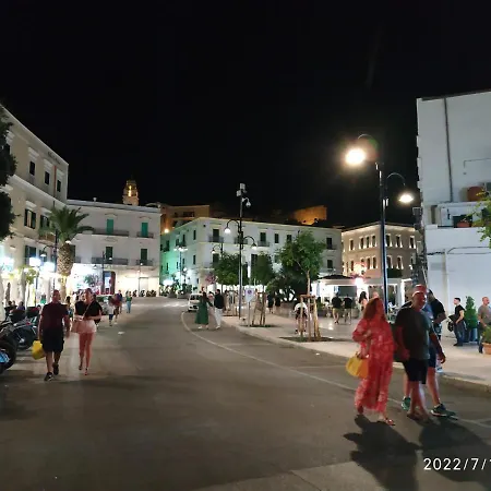 Scialara *