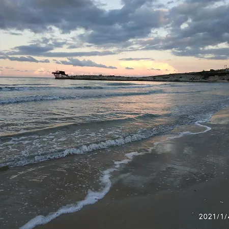 Scialara ויאסטה